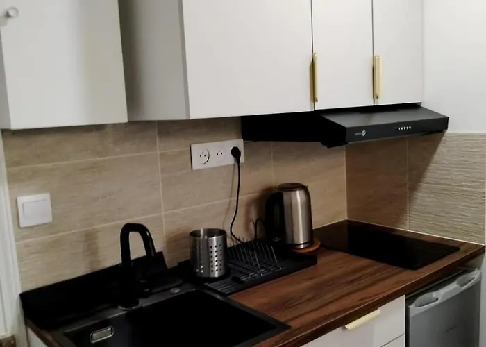 With Swimming Pool Appartement Vallauris